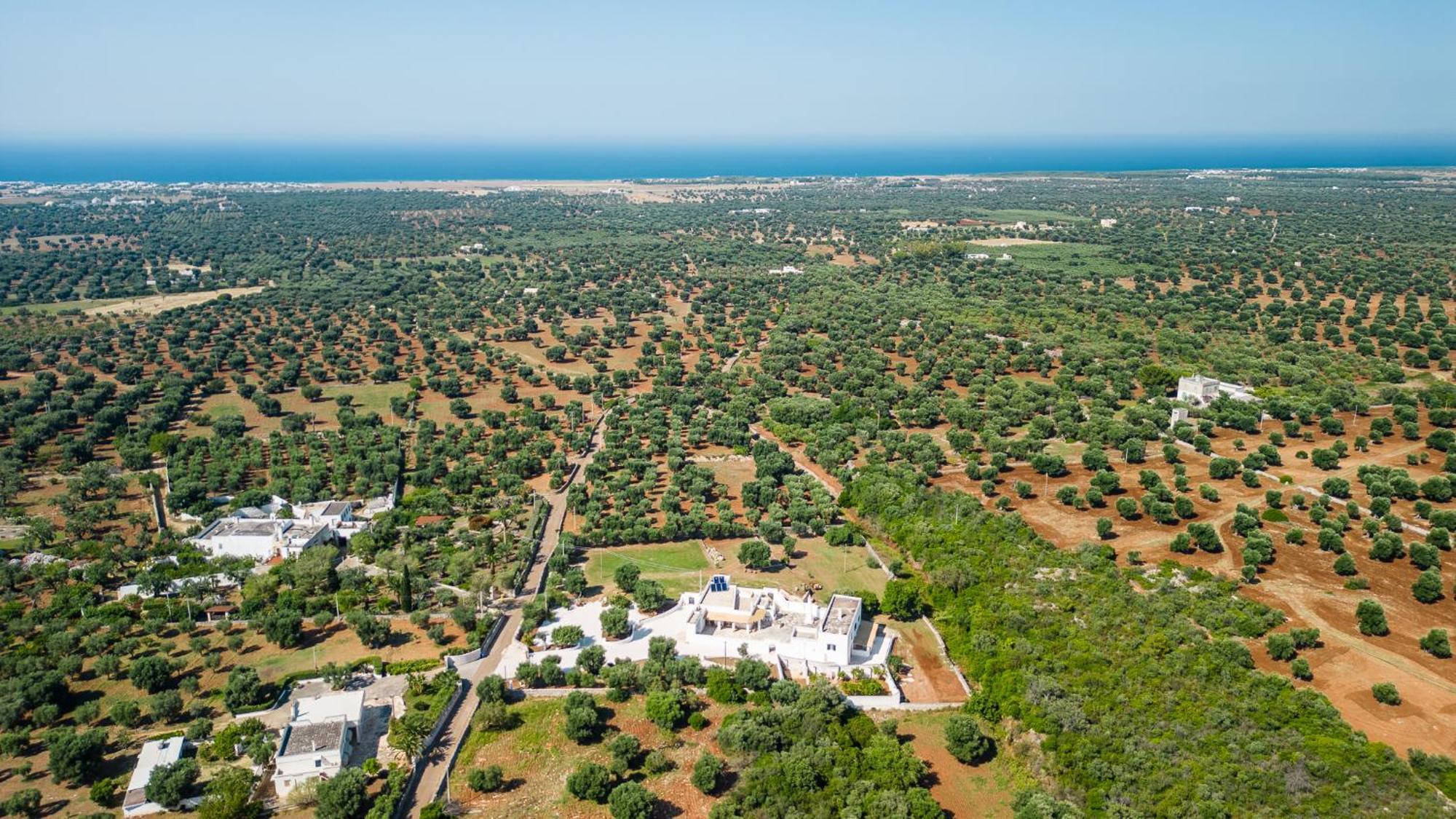 Masseria Abadia Uno ออสตูนี ภายนอก รูปภาพ
